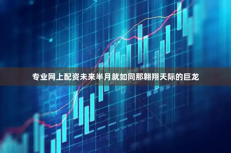 专业网上配资未来半月就如同那翱翔天际的巨龙